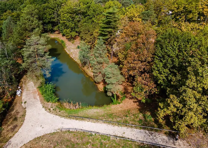 4 De L'oree Du Bois *